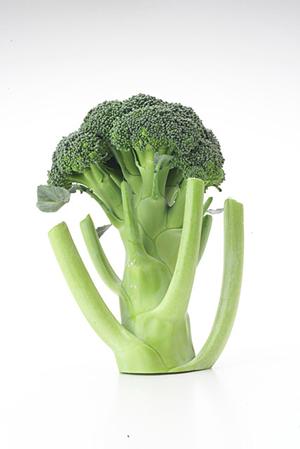 レストラン「かめ福オンプレイス」：和洋中の絶品料理を楽しめるビュッフェレストランの魅力と詳細情報