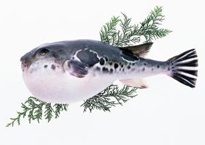 【府中の新生オイスターバー】ジャックポットで楽しむ新鮮な産地直送牡蠣と絶品シーフード料理