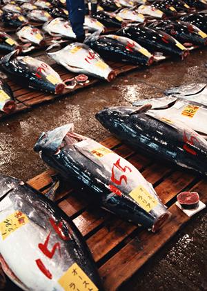 東京国際フォーラムにあるシェイクシャックの魅力と情報