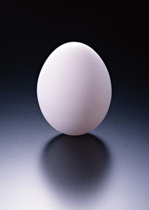 伊豆高原の絶景と新鮮海の幸を堪能できる赤沢日帰り温泉館のレストラン「湯羅」