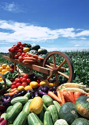 東京水タバコが女性から好評な理由