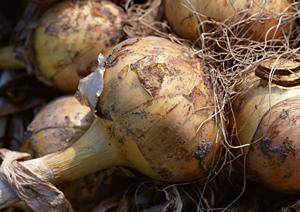 全国に系列店がある東京水タバコ喫茶