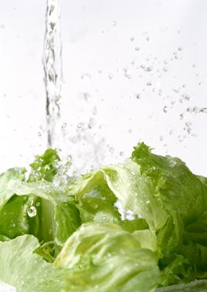 かまどか 上野店で楽しむ鶏素揚げと釜めしの魅力