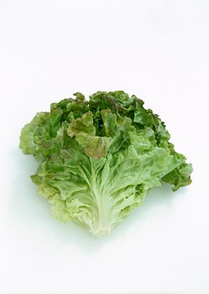 オススメの串カツさくら本店・南海難波店