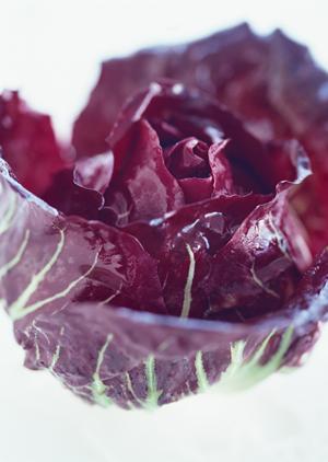 海浜幕張の絶品居酒屋大衆酒場 ムロヒガシの魅力と店舗情報