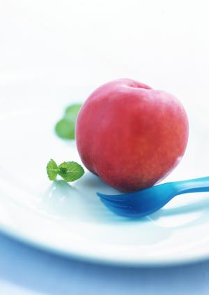 アトレ恵比寿 – シェイクシャック Shake Shack で味わう大人のスタイリッシュなバーガー体験