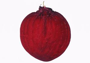 本場の鹿児島地鶏を新井薬師前で食べよう