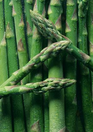 コワーキングスペースが用意されています